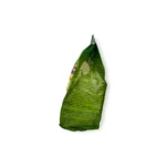 ETi Mini Pop kek - Image 7