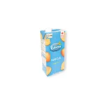 Rubicon Mango Juice 1L